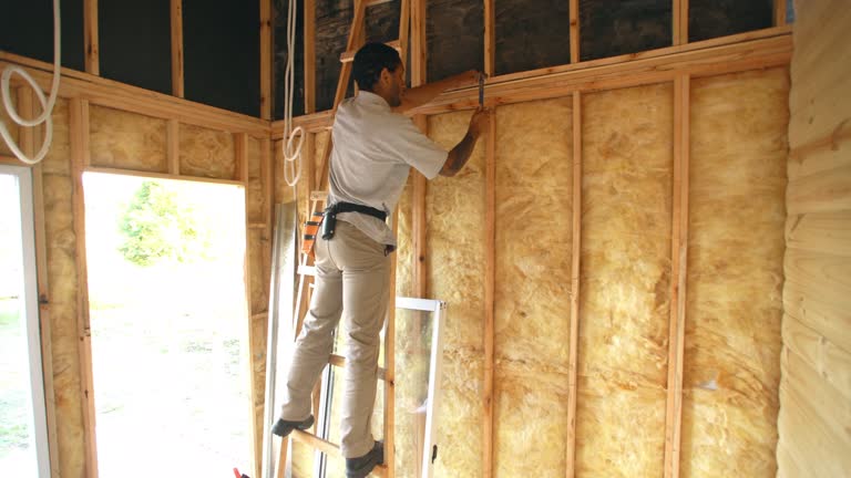 Best Basement Insulation  in Hamlin, TX